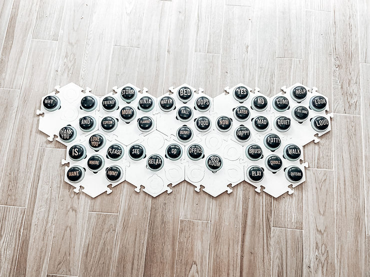 Top 4 Talking Button&nbsp;Brands