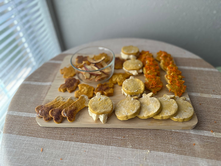 DIY 3 ingredient Pumpkin Dog Treats