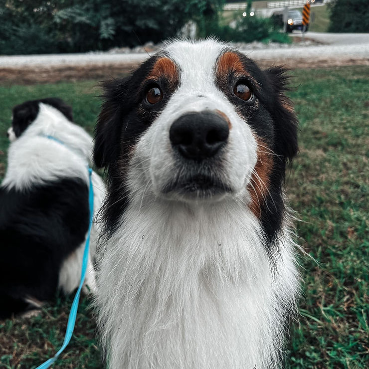 Palmer the aussie happy to get a second chance